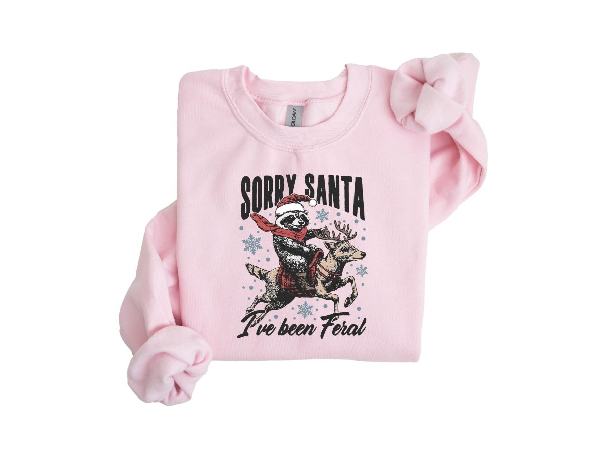 i have Been Feral Sweatshirt Santa Claus Feral Shirt Sorry Santa Shirt Christmas Feral Girl Shirt Santa Feral Sweatshirt Santa Shirt 6 scaled